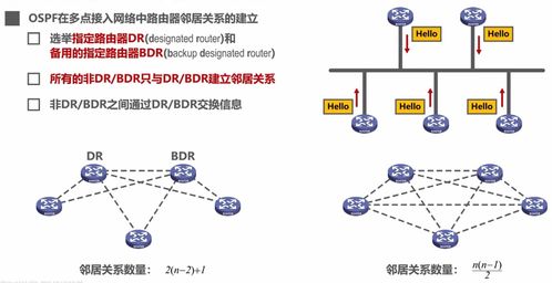 计算机网络学习笔记 构成、作用与服务关键环节